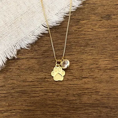 GARGANTILHA PATA CACHORRO PONTO DE LUZ DOURADO
